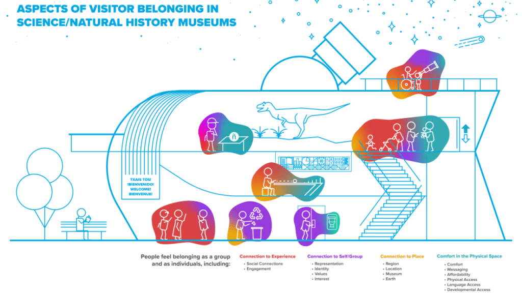 A chart depicting belonging in natural history museums